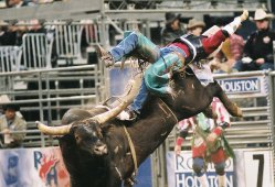 Rodeo Houston