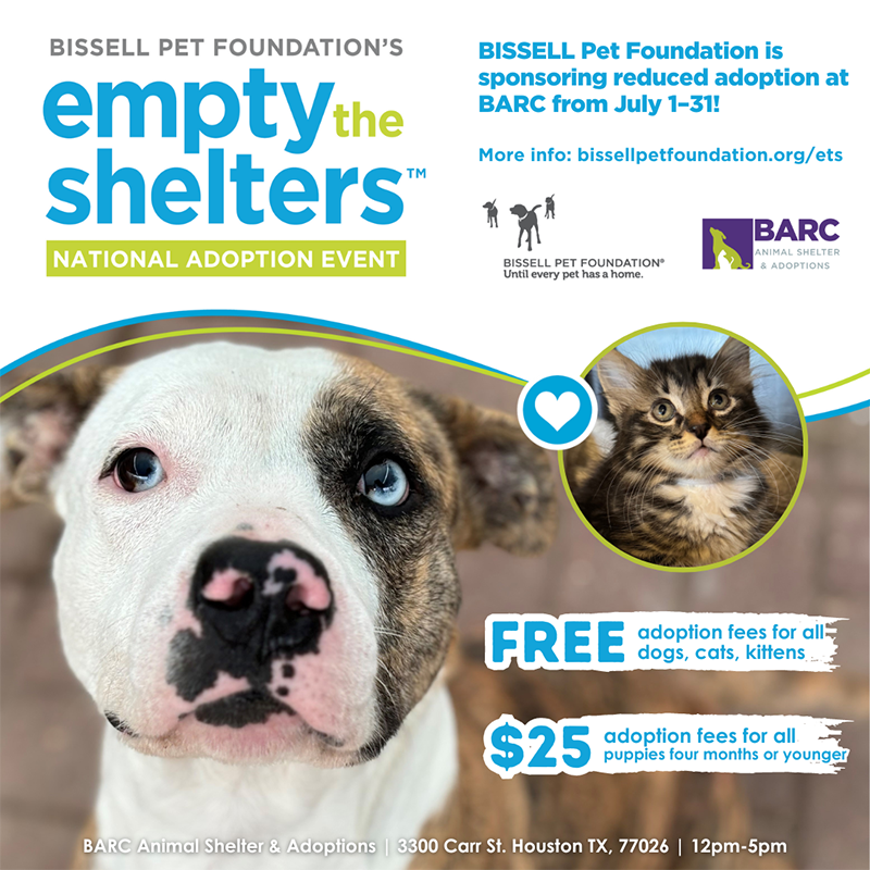 Empty the Shelters Graphic