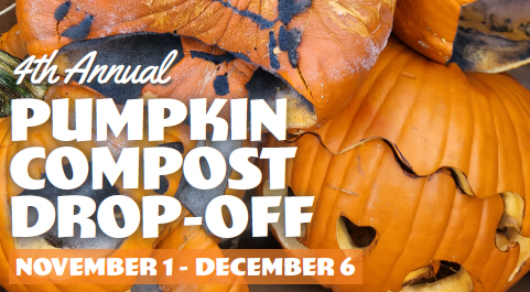 Pumpkin Composting