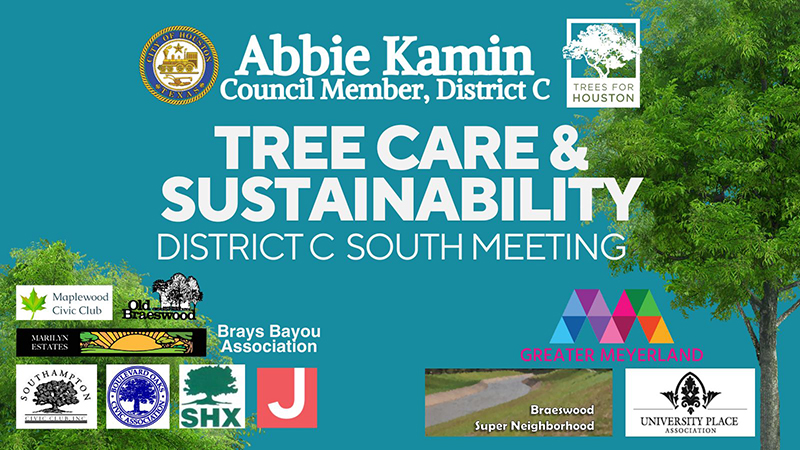 Trees for Houston Meeting - South