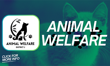 Animal Welfare