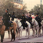 HPD Mounted Patrol